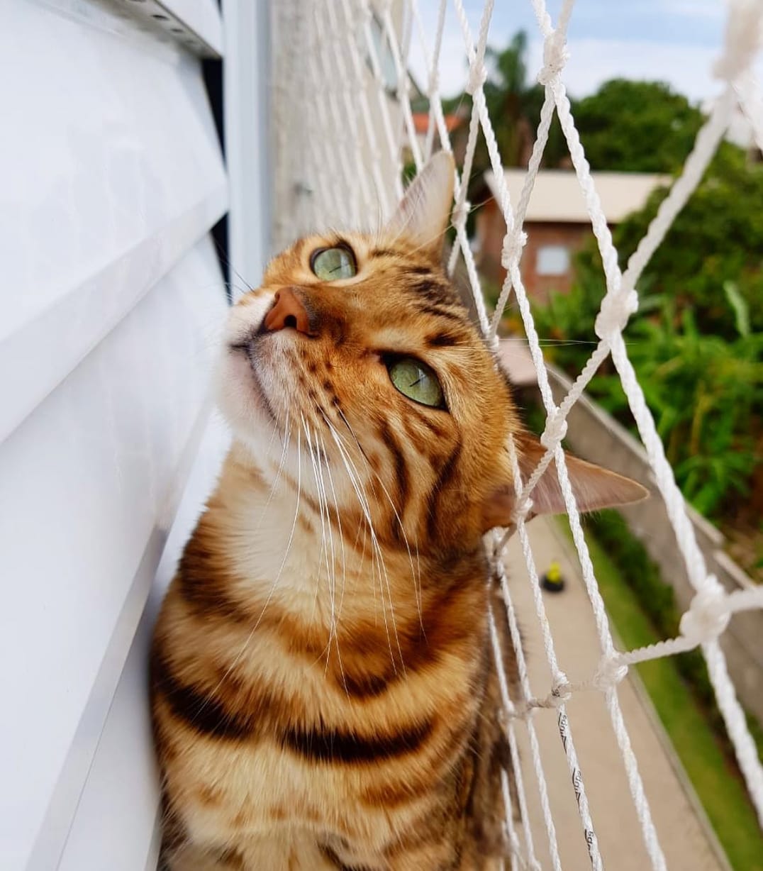 whatsapp image 2026 04 08 at 11.29.26 (1)