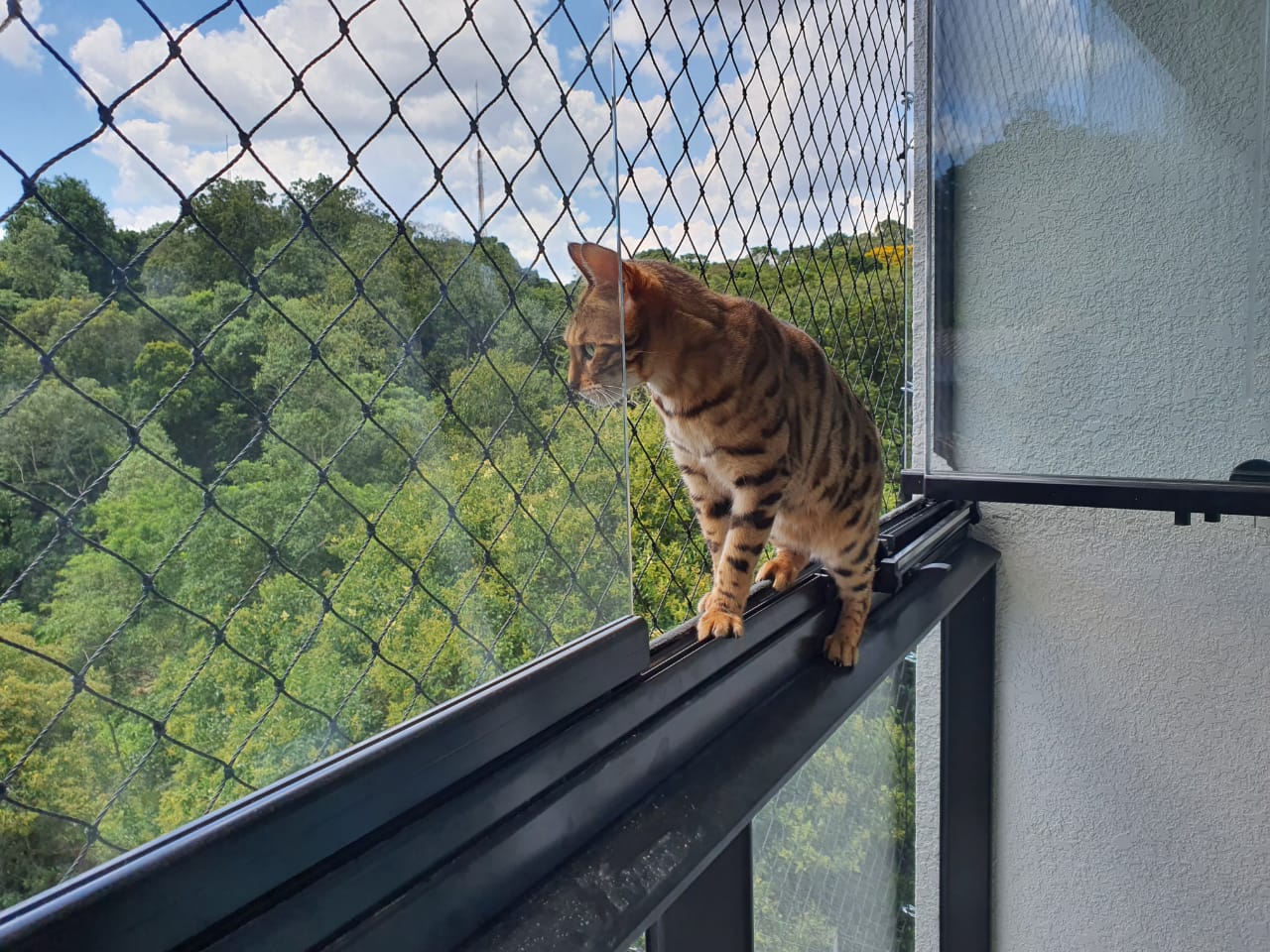 whatsapp image 2026 04 08 at 11.29.26