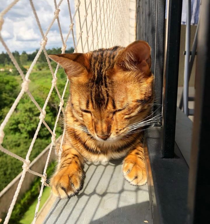 whatsapp image 2026 04 08 at 14.21.46