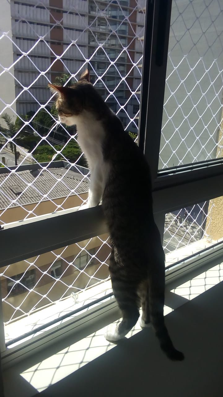 whatsapp image 2026 04 08 at 14.21.47