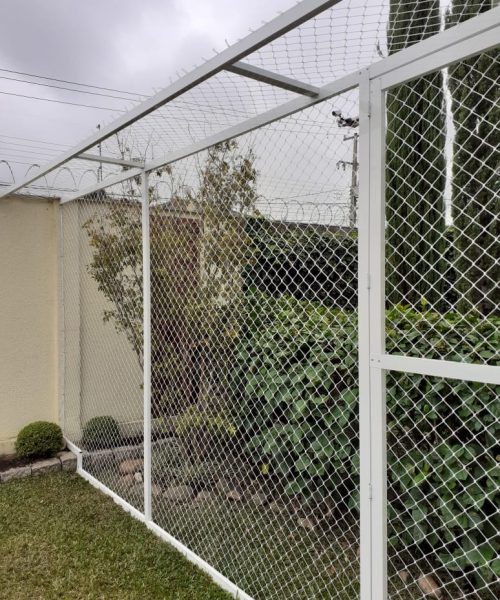 whatsapp image 2026 04 08 at 11.29.25 (2)